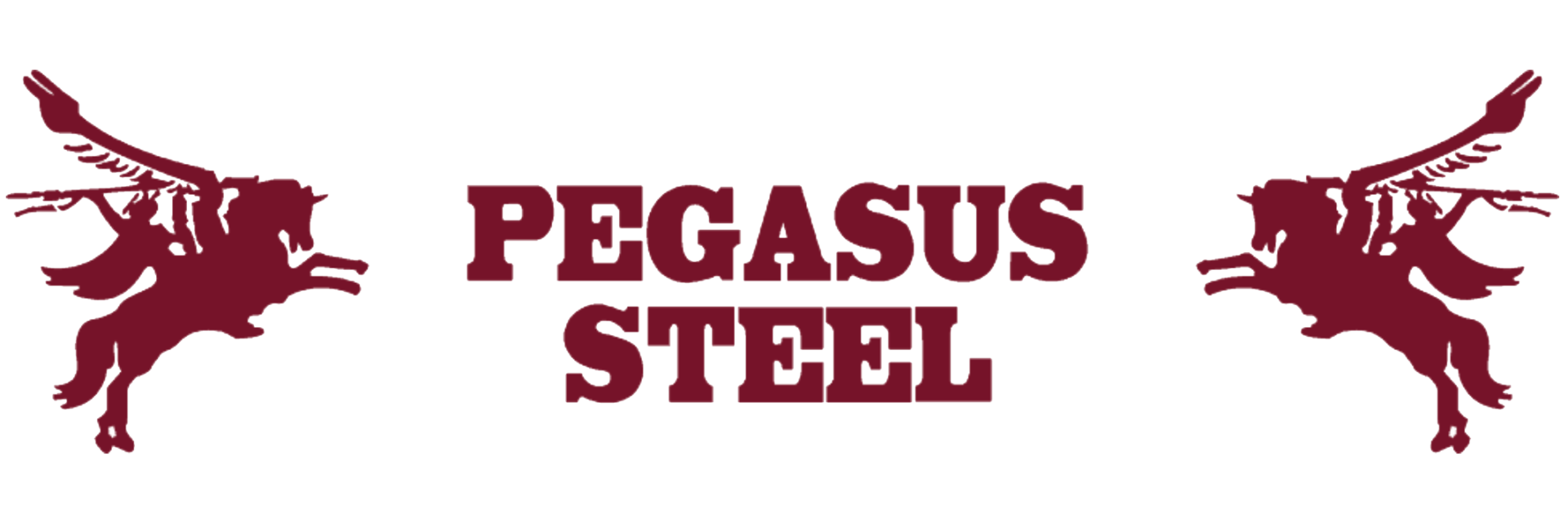 Pegasus Steel 710x2130